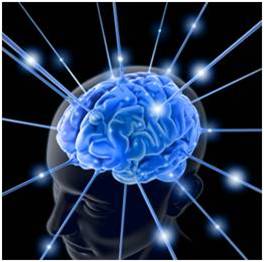 brain programming